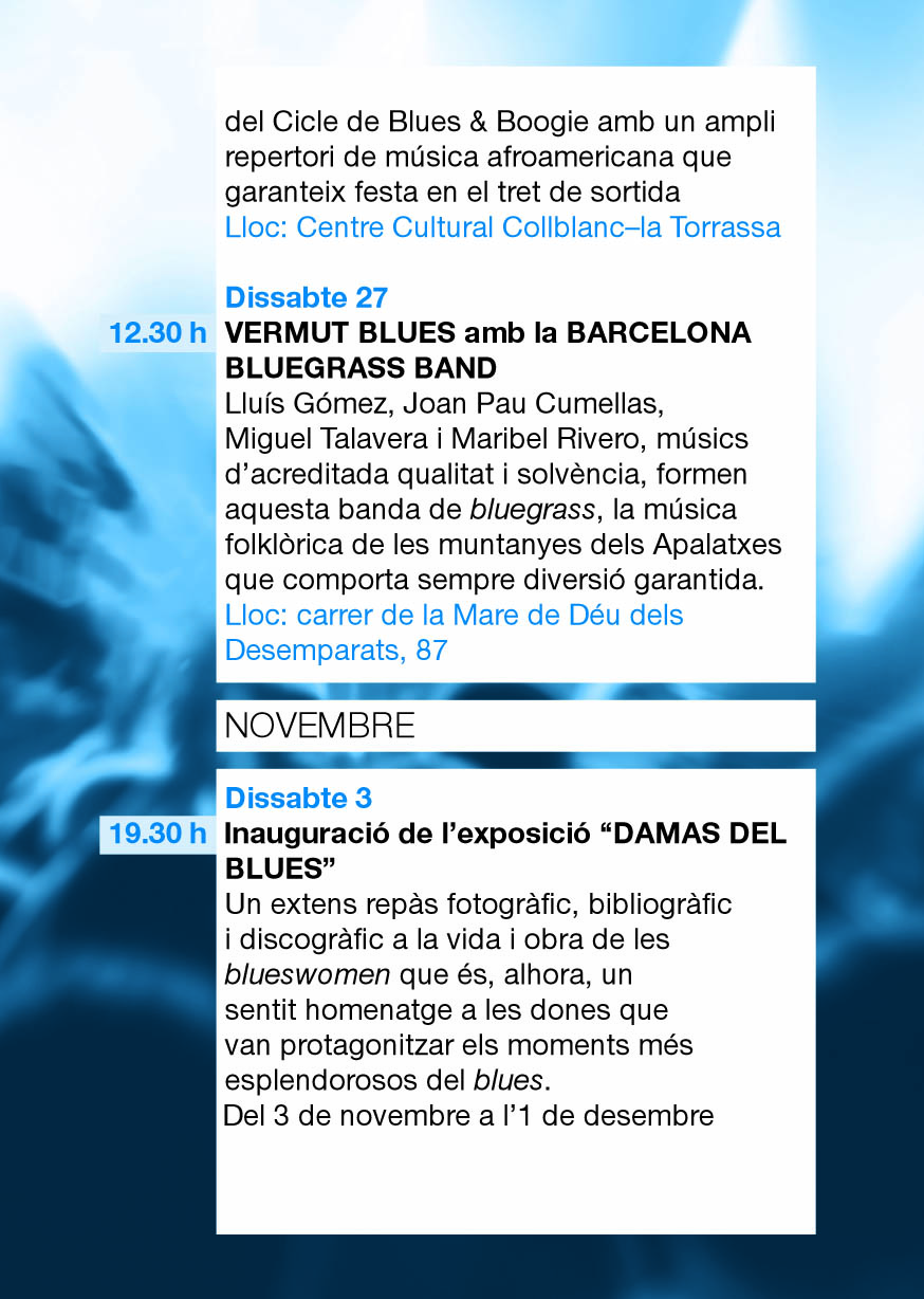 Cartell XIII Cicle Blues & Boogie 5