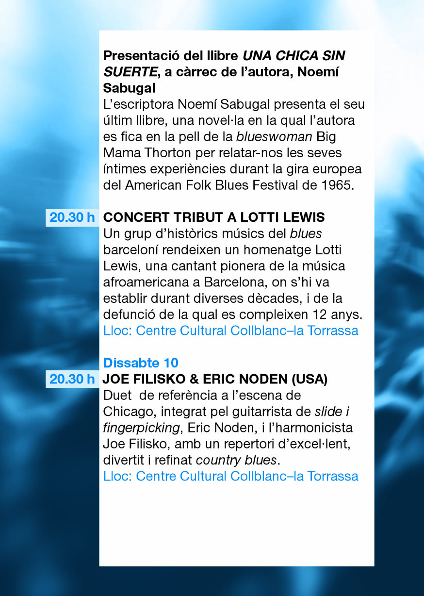 Cartell XIII Cicle Blues & Boogie 6