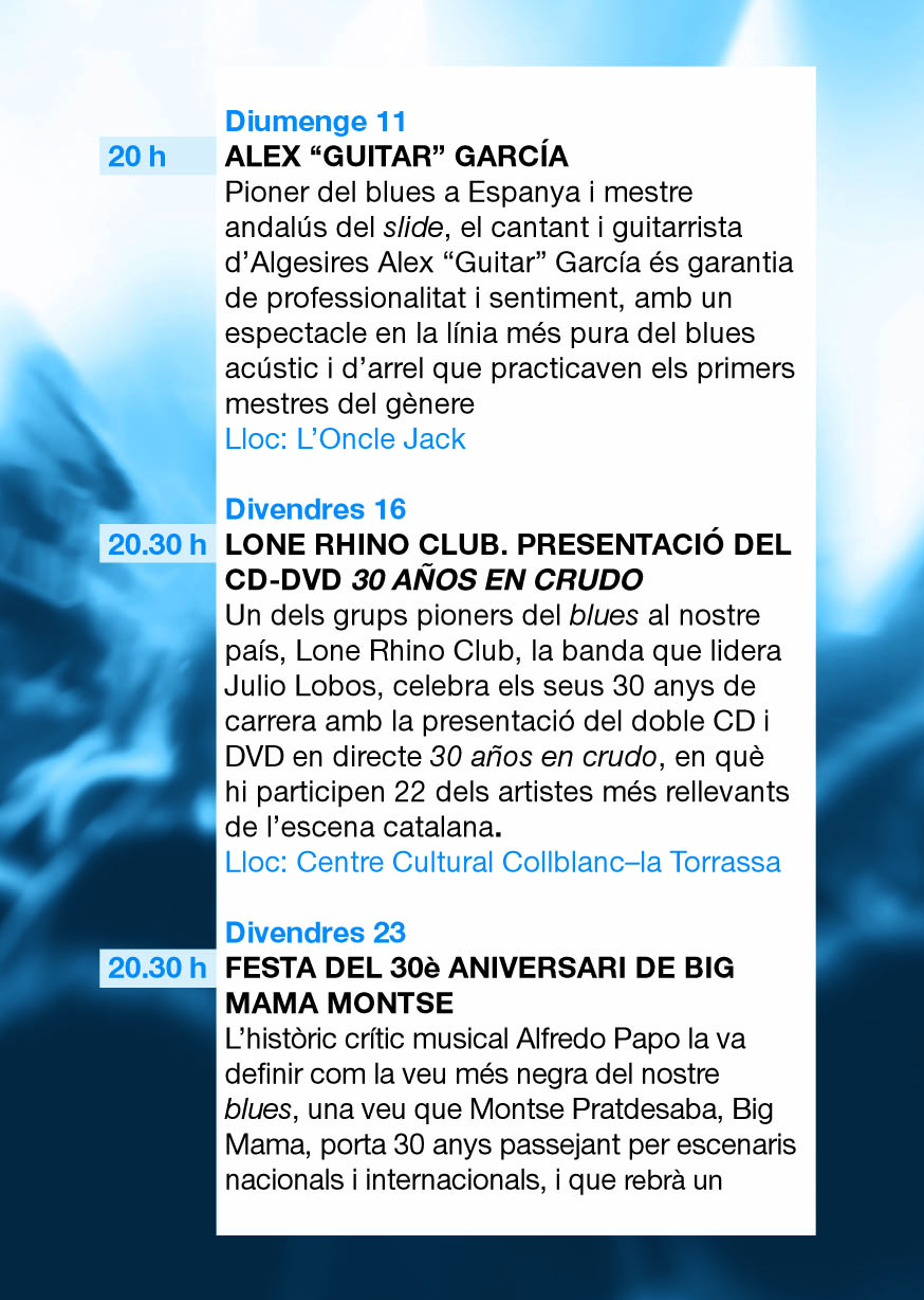 Cartell XIII Cicle Blues & Boogie 7