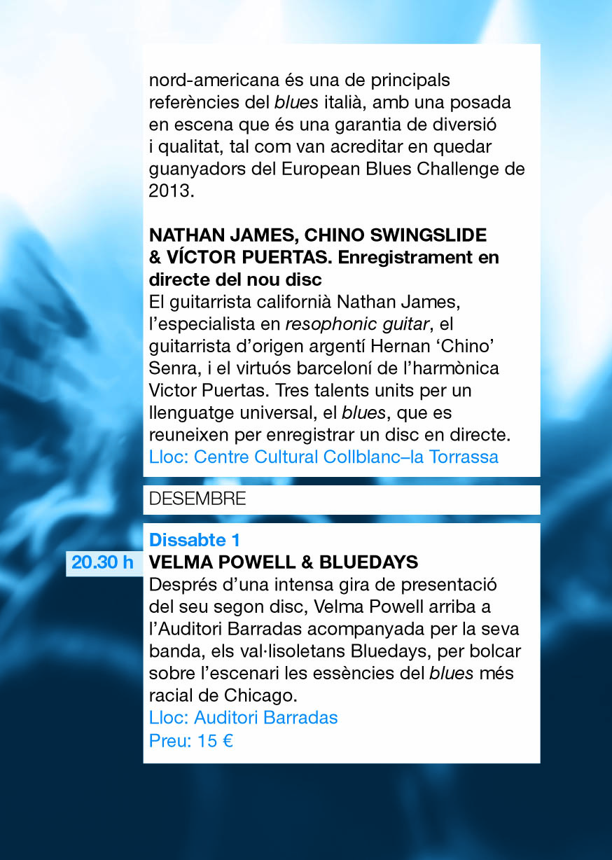 Cartell XIII Cicle Blues & Boogie 9