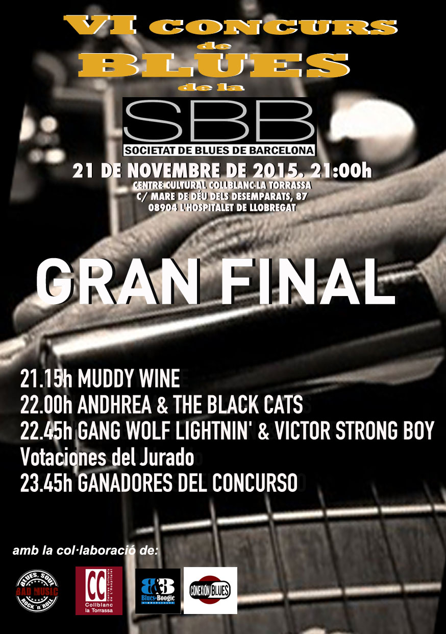 CONCURS DE BLUES VI 2015 FINAL