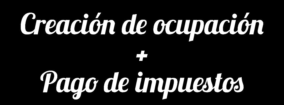 ETIQUETA CREACIÓN